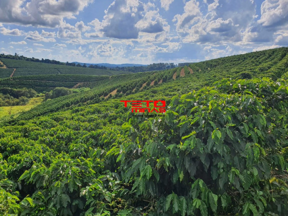 Imagem Imóvel à Venda, em Amparo - Santo Antônio Do Amparo Imagem Imóvel à Venda, em Amparo - Santo Antônio Do Amparo