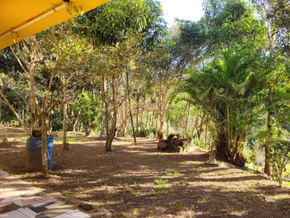 Imagem Chácara com 3 Quartos à Venda, 4.000 m² em Centro - Paraibuna