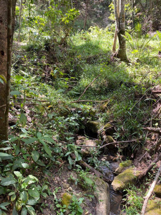 Imagem Terreno à Venda, 3 m² em Santa Terezinha De Minas - Itatiaiuçu