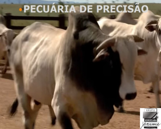 Imagem Imóvel à Venda, 427.000 m² em Marabá - Marabá Imagem Imóvel à Venda, 427.000 m² em Marabá - Marabá