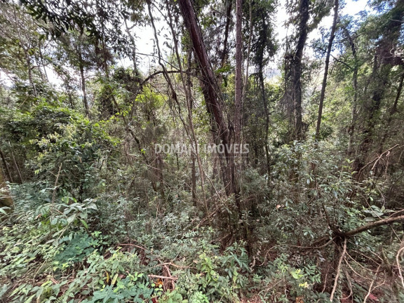 Imagem Terreno à Venda, 5.820 m² em Região Do Parque Da água Santa - Campos Do Jordão
