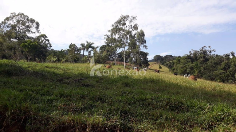 Imagem Fazenda à Venda, 400 m² em Itapeva - Paraibuna Imagem Fazenda à Venda, 400 m² em Itapeva - Paraibuna