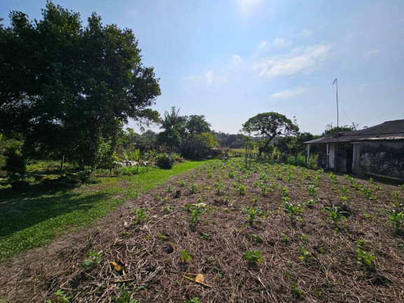 Imagem Casa com 4 Quartos à Venda, 320 m² em Pinheiros - Balneário Barra Do Sul