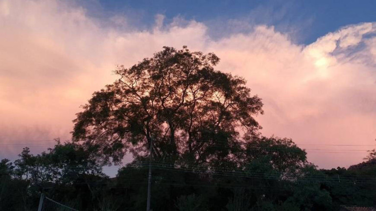 Imagem Terreno em Condomínio à Venda, 3.203 m² em Parque Primavera - Carapicuíba Imagem Terreno em Condomínio à Venda, 3.203 m² em Parque Primavera - Carapicuíba