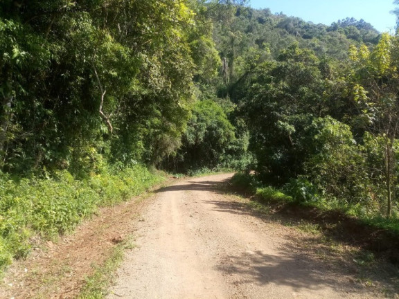 Imagem Terreno à Venda, 2 m² em Linha Temerária - Nova Petrópolis