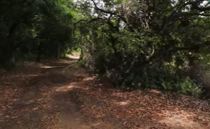 Imagem Imóvel com 3 Quartos à Venda, 71.000 m² em Perocão - Guarapari Imagem Imóvel com 3 Quartos à Venda, 71.000 m² em Perocão - Guarapari