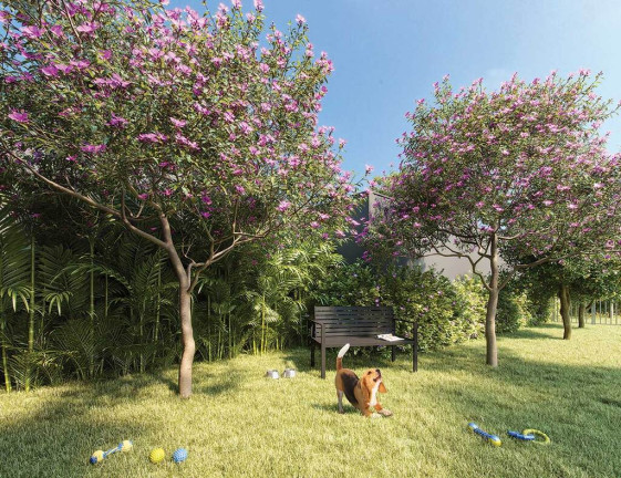 Imagem Apartamento à Venda, 29 m² em Ibirapuera - São Paulo Imagem Apartamento à Venda, 29 m² em Ibirapuera - São Paulo
