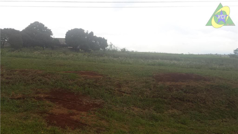 Imagem Imóvel à Venda ou Locação, 58.600 m² em Betel - Paulínia Imagem Imóvel à Venda ou Locação, 58.600 m² em Betel - Paulínia