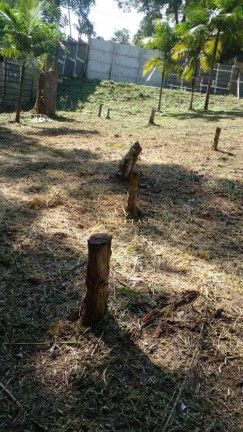 Imagem Terreno em Condomínio à Venda, 1 m² em Jardim Colibri - Cotia Imagem Terreno em Condomínio à Venda, 1 m² em Jardim Colibri - Cotia