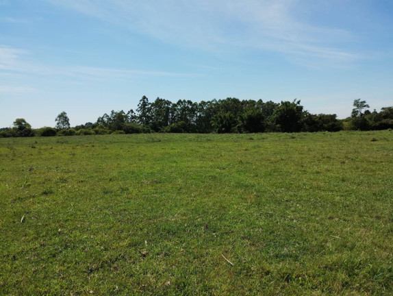 Imagem Chácara à Venda, 173 m² em Caju - Nova Santa Rita Imagem Chácara à Venda, 173 m² em Caju - Nova Santa Rita