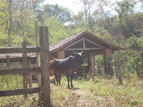 Imagem Chácara com 3 Quartos à Venda,  em Centro - Três Rios