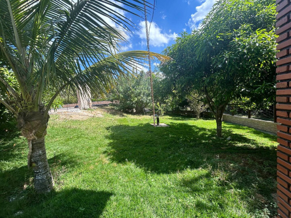 Imagem Chácara com 8 Quartos à Venda, 2 m² em Vila Ipê Amarelo - Contagem