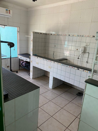 Imagem Imóvel com 5 Quartos para Alugar, 260 m² em Vila Lourdes - São Paulo Imagem Imóvel com 5 Quartos para Alugar, 260 m² em Vila Lourdes - São Paulo