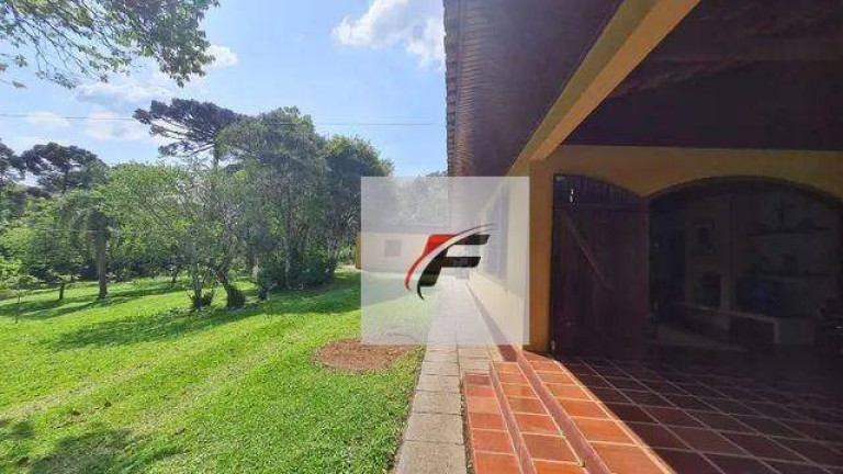 Imagem Chácara com 4 Quartos à Venda, 145.200 m² em Palmitalzinho - Quatro Barras