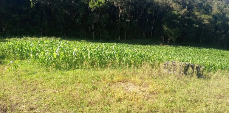 Imagem Terreno à Venda, em Ferrari - Campo Largo Imagem Terreno à Venda, em Ferrari - Campo Largo