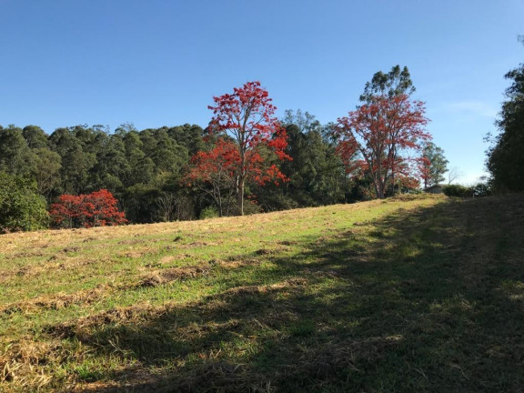 Terreno à Venda, 21.560 m² em Jardim Martinelli (sousas) - Campinas