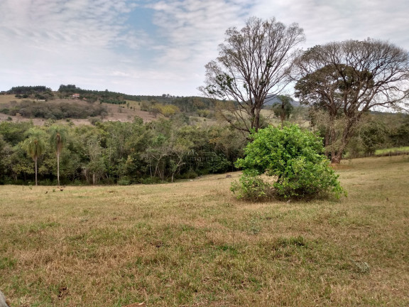 Imagem Imóvel à Venda, 23.000 m² em Rural - Bofete Imagem Imóvel à Venda, 23.000 m² em Rural - Bofete