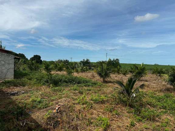 Imagem Chácara com 7 Quartos à Venda, em Centro - Areia Branca Imagem Chácara com 7 Quartos à Venda, em Centro - Areia Branca