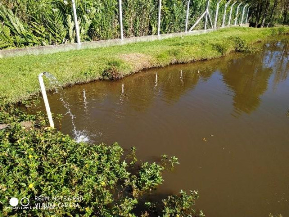 Imagem Chácara à Venda, 3.007 m² em Consultar - Ibiúna