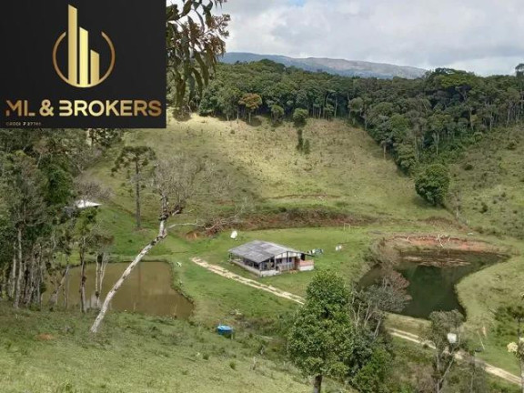 Imagem Imóvel à Venda, 30.250 m² em Matulao - Tijucas Do Sul