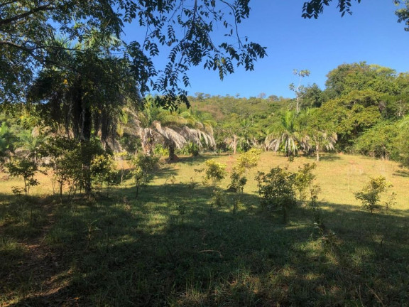 Imagem Fazenda à Venda, 229.899 m² em Centro - Córrego Do Ouro Imagem Fazenda à Venda, 229.899 m² em Centro - Córrego Do Ouro