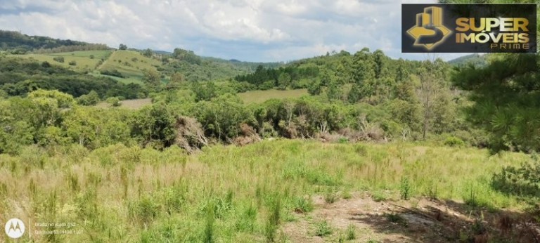 Imagem Imóvel com 4 Quartos à Venda, 150.000 m² em Zona Rural - Morro Redondo
