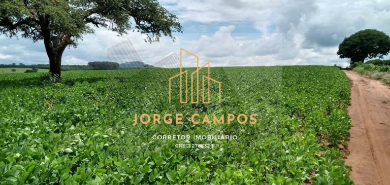 Imagem Fazenda à Venda, 109 m² em área Rural - Paraíso Imagem Fazenda à Venda, 109 m² em área Rural - Paraíso