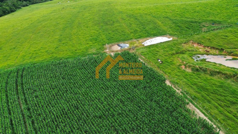 Imagem Fazenda à Venda, 133.100 m² em Vale San Fernando Imagem Fazenda à Venda, 133.100 m² em Vale San Fernando
