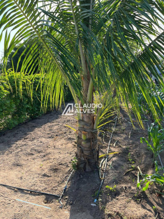 Imagem Chácara à Venda, 3.520 m² em Campos Bello 2 - São Gonçalo Dos Campos Imagem Chácara à Venda, 3.520 m² em Campos Bello 2 - São Gonçalo Dos Campos