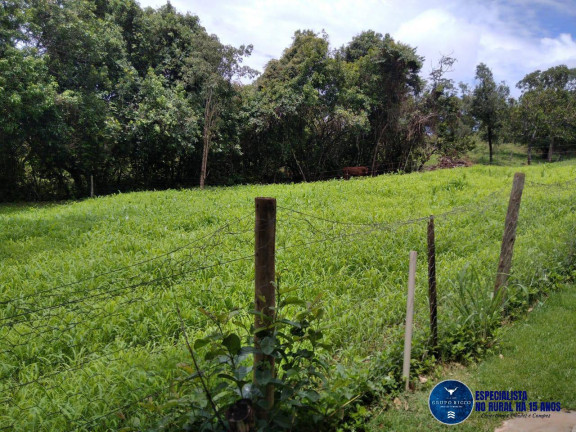 Imagem Chácara à Venda, 21 m² em Zona Rural - Caldas Novas Imagem Chácara à Venda, 21 m² em Zona Rural - Caldas Novas