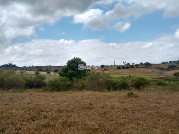 Imagem Fazenda à Venda, 300.000 m² em Lagoa Do Mato - Monte Alegre Imagem Fazenda à Venda, 300.000 m² em Lagoa Do Mato - Monte Alegre