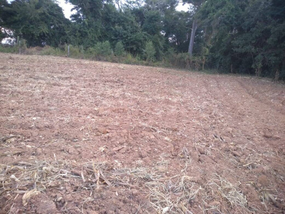 Imagem Chácara à Venda, 36 m² em Itarassú - Capela Do Alto
