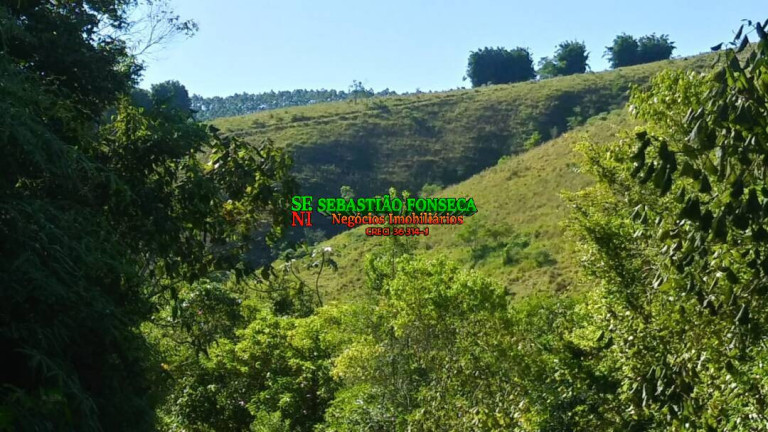 Imagem Fazenda à Venda, 30 m² em Centro - Monteiro Lobato Imagem Fazenda à Venda, 30 m² em Centro - Monteiro Lobato