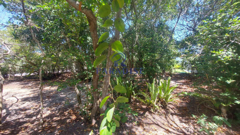 Imagem Terreno à Venda, 350 m² em Praia Do Forte - Mata De São João Imagem Terreno à Venda, 350 m² em Praia Do Forte - Mata De São João