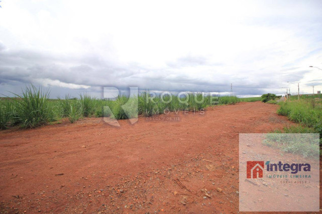 Imagem Terreno à Venda, 250 m² em Jardim Nova Limeira - Limeira Imagem Terreno à Venda, 250 m² em Jardim Nova Limeira - Limeira