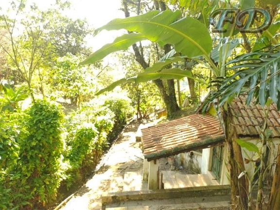 Imagem Chácara com 3 Quartos à Venda, 3.185 m² em Portão - Atibaia