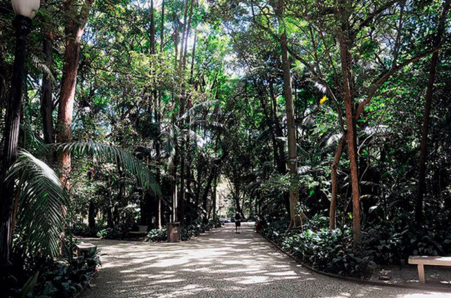 Imagem Imóvel para Alugar, 700 m² em Paulista - São Paulo Imagem Imóvel para Alugar, 700 m² em Paulista - São Paulo