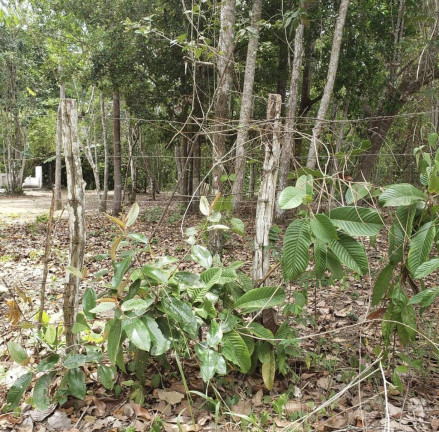 Terreno à Venda, 2 m² em Aldeia Dos Camarás - Camaragibe