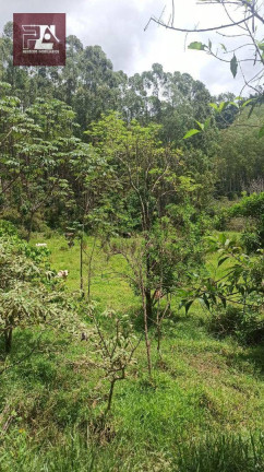 Imagem Imóvel à Venda, 24.200 m² em área Rural De Lorena - Lorena