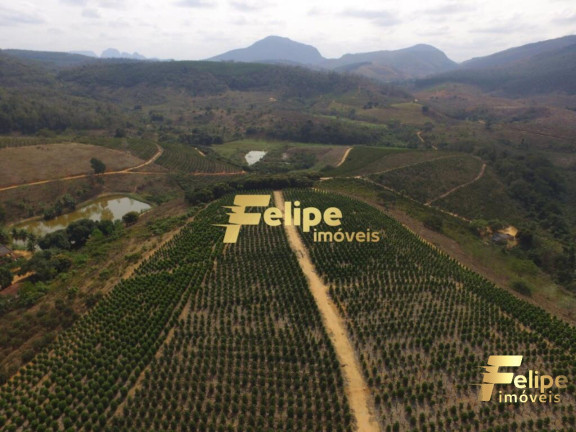 Imagem Imóvel com 1 Quarto à Venda, 55 m² em área Rural De Colatina - Colatina