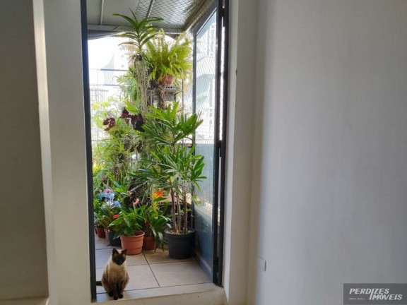 Imagem Apartamento com 2 Quartos à Venda, 94 m² em Perdizes - São Paulo Imagem Apartamento com 2 Quartos à Venda, 94 m² em Perdizes - São Paulo