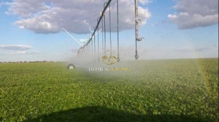 Imagem Imóvel com 3 Quartos à Venda, 11.829 m² em Zona Rural - Jussara