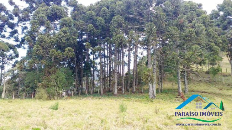 Imagem Terreno à Venda, 38 m² em Centro - Gonçalves