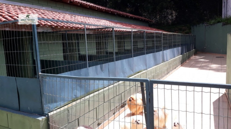Imagem Chácara com 5 Quartos à Venda, 7.000 m² em Alto Da Serra - São Roque
