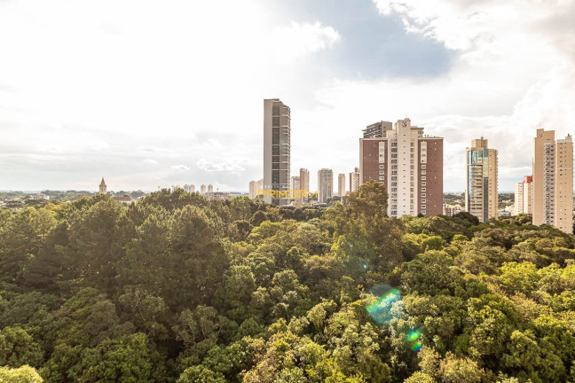 Imagem Apartamento com 3 Quartos à Venda, 243 m² em Mossunguê - Curitiba