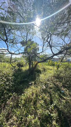 Imagem Terreno à Venda, em Campo Duna - Garopaba Imagem Terreno à Venda, em Campo Duna - Garopaba