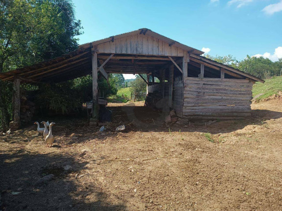 Imagem Chácara à Venda, 110 m² em Linha Travessa - Santa Cruz Do Sul