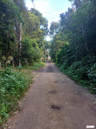 Imagem Terreno à Venda, 812 m² em Ubatumirim - Ubatuba Imagem Terreno à Venda, 812 m² em Ubatumirim - Ubatuba