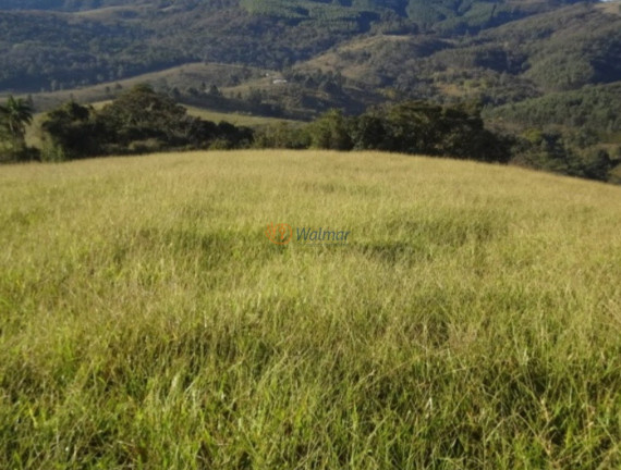 Imagem Imóvel com 3 Quartos à Venda, 320 m² em Centro - Monte Sião Imagem Imóvel com 3 Quartos à Venda, 320 m² em Centro - Monte Sião