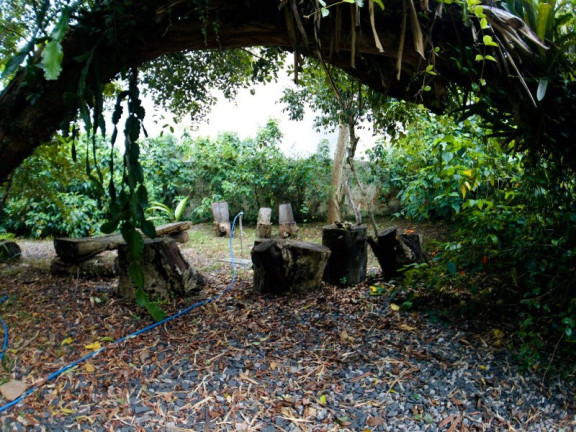 Imagem Imóvel com 3 Quartos à Venda,  em Lagoa Da Conceição - Florianópolis
